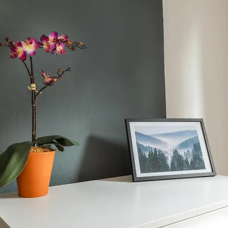Ferienwohnung Leubsdorf *